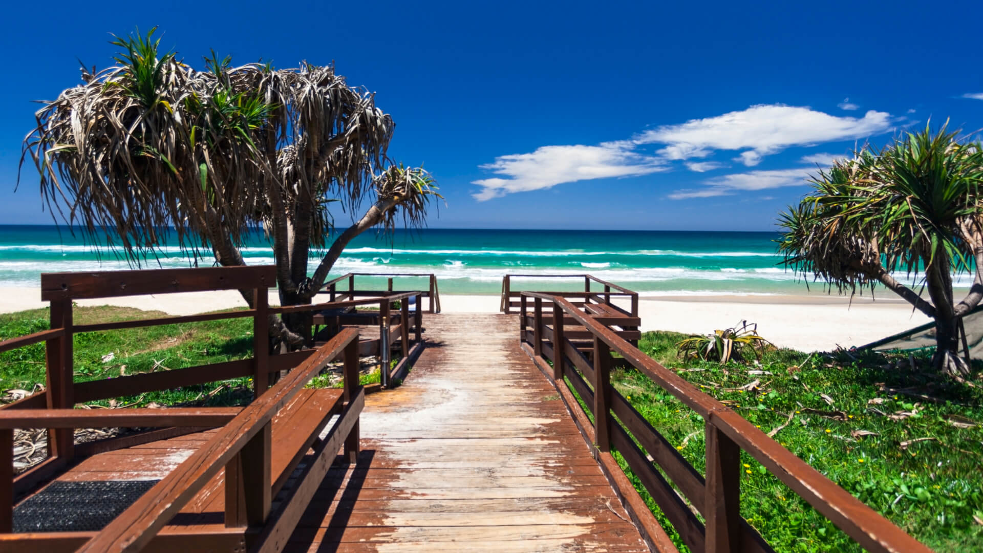 Wide shot of the Gold Coast beach with a wooden walk and palm trees.