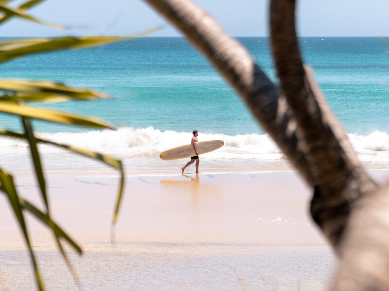A shot though a palm tree of a man with a serfboard walking along the ocean beach in Broadbeach.